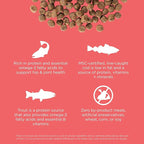 Go! Solutions Carnivore, Grain-Free, Protein Rich Dry Cat Food, Salmon and Cod Recipe, 8 lb Bag