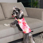 GMF29M Winter Dog Coat - Waterproof & Windproof Jacket, Reversible Vest, Thick Soft Coats for Small, Medium & Large Dogs, with Leash Hole