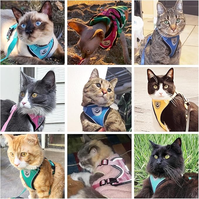 PUPTECK Cat Harness and Leash Set Escape Proof Reflective Cat Walking Harness Adjustable Soft Breathable Mesh Vest for Small Pets, Aquamarine, M