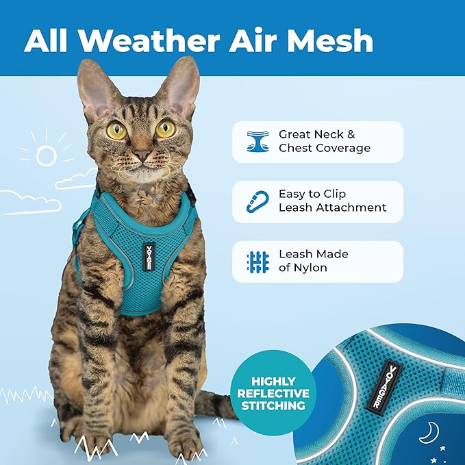 Best Pet Supplies Voyager Escape Proof Cat Harness and Leash Set with Reflective Stitching, Neoprene Handle 5ft - Supports Small, Medium and Large Cats, Kittens - Turquoise, M (Chest: 16.5-19.5")