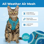 Best Pet Supplies Voyager Escape Proof Cat Harness and Leash Set with Reflective Stitching, Neoprene Handle 5ft - Supports Small, Medium and Large Cats, Kittens - Turquoise, M (Chest: 16.5-19.5")