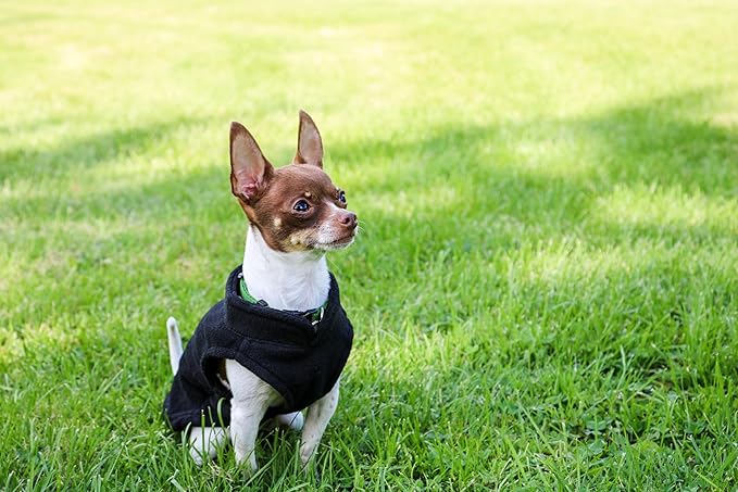 JACKO & CO - Fleece Vest Dog Sweater with Leash Ring - Soft, Warm & Lightweight Pullover Coat for Small & Medium Dogs, Puppies & Cats - Cozy Fall/Winter/Spring Pet Jacket (Black, Medium 6-10lbs)