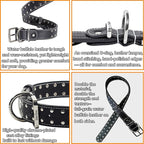 Studded Leather Dog Collar – Durable Adjustable Collar, Black Small