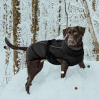 IECOii Extra Warm Dog Coat - Reflective, Adjustable Winter Jacket with Buckle & Turtleneck for Small to Extra Large Dogs