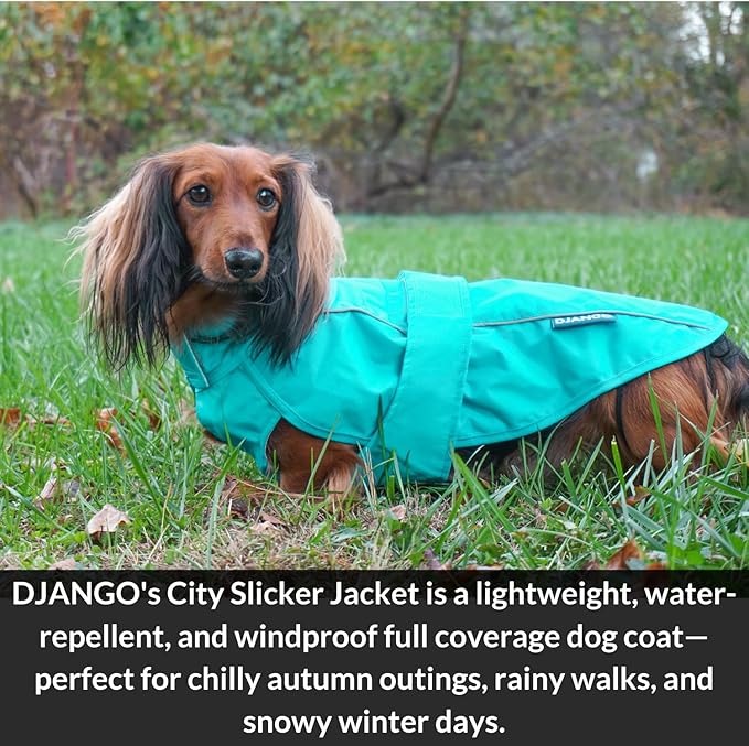 DJANGO Dog Jacket & Raincoat – Lightweight Water-Resistant Coat for Small, Medium & Long Dogs Like Dachshunds – Reflective, Adjustable Fit, Harness-Compatible & Easy-Access Harness Hole - Blue, Medium