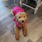 Mile High Life Dog Raincoat, Adjustable Waterproof Reflective Rain Jacket for Small Medium Large Dogs, Lightweight Breathable Pet Rain Coat with Leash Hole(Hot Pink,XXS Chest 16-19")