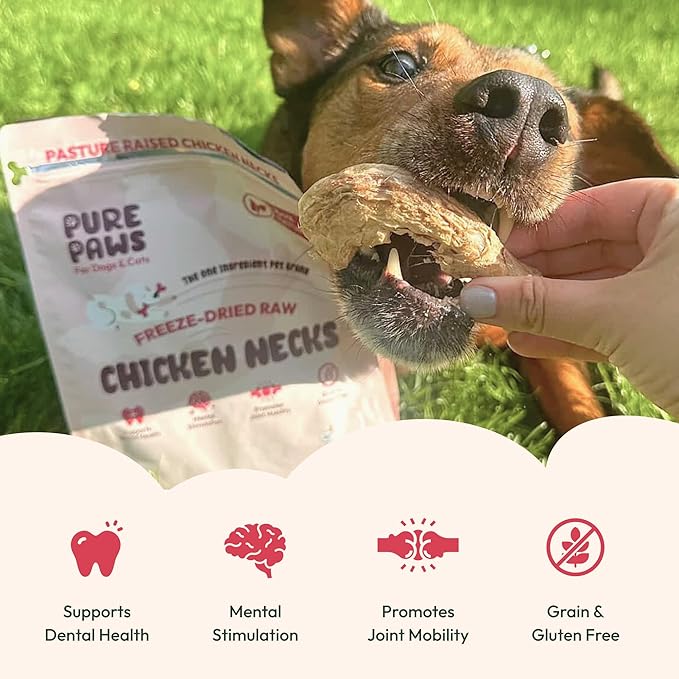 Freeze-Dried Chicken Necks for Dogs & Cats, Single Ingredient, High Protein Dog Treat, Regeneratively Raised Poultry, Grain-Free, No Additives, Supports Dental & Joint Health, 9 oz