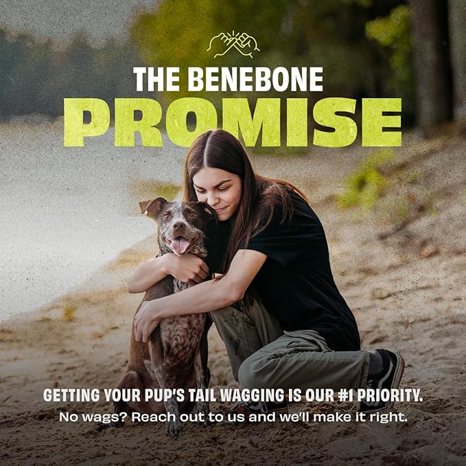 Benebone Natural Rubber Tug Interactive Dog Toy, Natural Rubber
