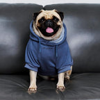 Tuff Pupper Dog Hoodie | Premium Quality 100% Organic Cotton | Ultra Soft Interior for Superior Comfort | Elastic Cuffs & Drawstring for Warmth | Stretch Fit Suitable for All Breeds (Blue, M)