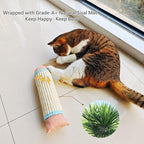 Interactive Cat Kicker Toy, 10 Inch Long Cat Scratcher Post, Natural Sisal Toy for Indoor Cats(Pink and Blue)