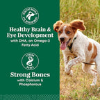 Nutro Natural Choice Lamb & Brown Rice Large Breed Puppy Food Dry Recipe, 30 lb. Bag
