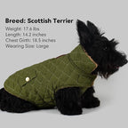 azuza Dog Jacket Waterproof & Windproof Dog Coat for Small Dogs with Thick Fleece, High Collar with Leash Hole, Adjustable Velcro & Elastic Belly, Army Green, S