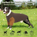 2 Pack X-Large Dog Shirts - Breathable Lightweight Basic Tees, Durable Moisture-Wicking Clothes for Beagle, Bullmastiff, Sleeping Hot Summer Day Outdoor Activities, Travel, Seaside, Brown