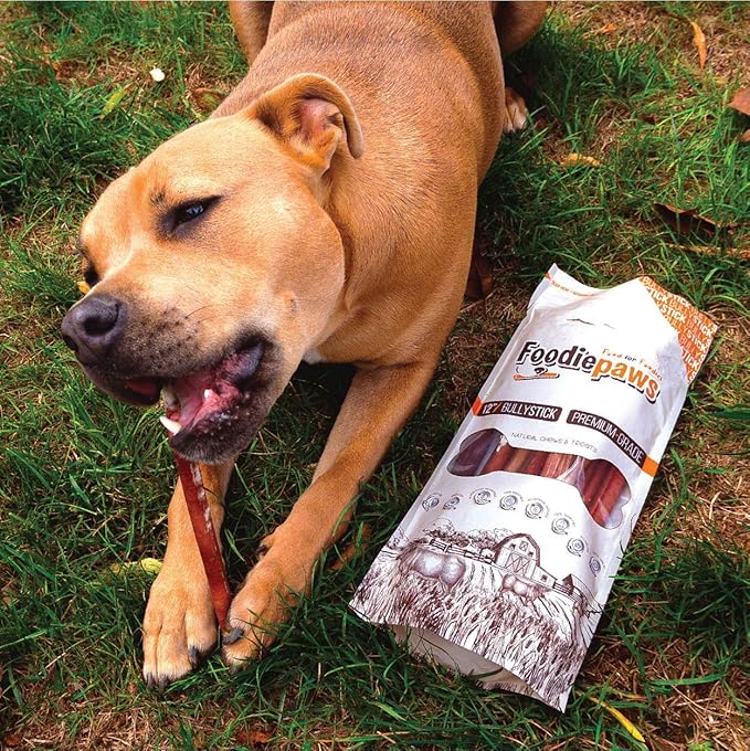 FOODIEPAWS 6 Inch Jumbo Bully Sticks for Dogs, 20 Pack | All Natural, Grass-Fed Beef Pizzle | Rawhide-Free, Odor-Free, Fully Digestible & Long Lasting Dog Chews | For Large Breeds & Aggressive Chewers