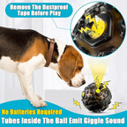 Honoson 2 Pcs Dog Ball for Aggressive Chewers, Indestructible Interactive Dog Toy with Squeaky Giggle, Elastic Rubber Wobble Chew Toy for Small Medium Large Dogs, Teeth Cleaning