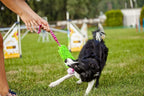 Dingo Dog tug of war toy for outdoor play traning agility,cuddly and shaggy plush tug toy for motivation and fun, soft nubby-textured noodle plush with bungee shock absorber and rubber ball green15589