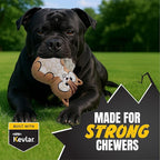 Bite Force -Durable & Strong Dog Toy Beaver with Squeaker, Kevlar-Reinforced for Aggressive Chewers for Small Medium Large Dogs - Green.