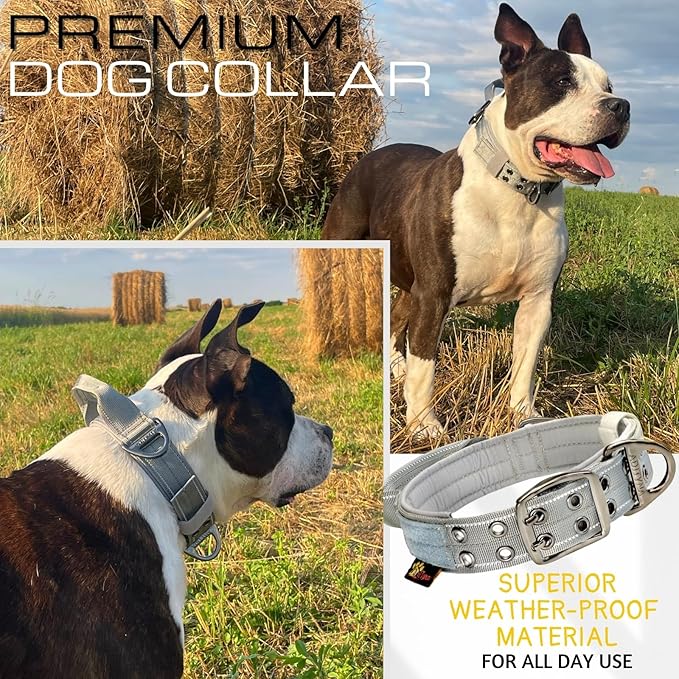 ADITYNA Heavy Duty Dog Collar for Medium Dogs - Reflective Gray Collar with Handle for Training, and Walking - Wide, Thick, Tactical, Soft Neoprene Padded