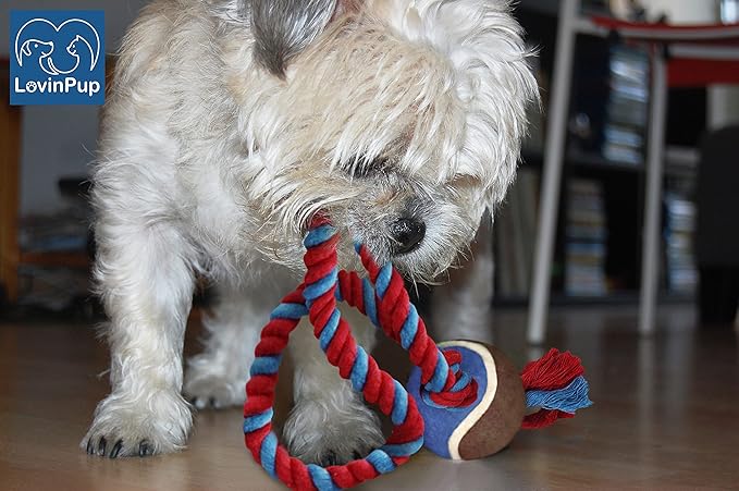 Dog Rope Toy with Tennis Ball, Nylon Rope with Balls, Fun Tug of War Toy for Dogs, Tough Dog Toy for Aggressive Chewers, Eskimo, Terrier, Beagle & More (3 Set Rope Dog Toy Blue Ball)