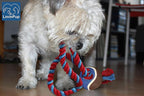 Dog Rope Toy with Tennis Ball, Nylon Ropes with Balls, Fun Tug of War Toys for Dogs, Tough Pet Toy for Aggressive Chewers, Eskimo, Terrier, Beagle and More(1 Rope Dog Toy Blue Ball FBA)
