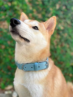Tuff Pupper Classic Heavy Duty Dog Collar | 10x Stronger Than Leather | 100% Waterproof & Odor Proof Dog Collar | Tough Rust-Proof All Metal Hardware