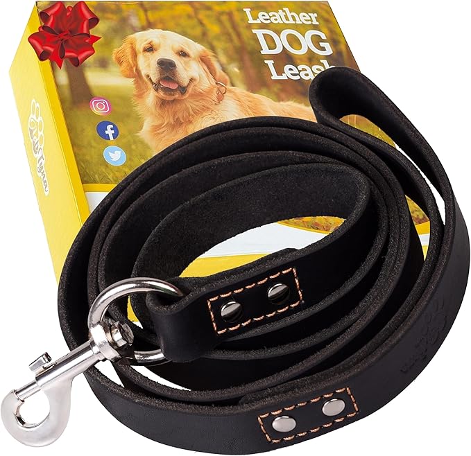 ADITYNA Leather Dog Leash 6 ft x 3/4 inch - Soft, Strong, Heavy Duty for Large & Medium Breeds - Dog Lead for Walking, Training, Hiking and Running (Black)