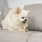 MON2SUN Dog Rawhide Twist Sticks Chicken Flavor 5 Inch Thin Sticks Rawhide Chews Treats for Puppy and Small Dogs 120 Count