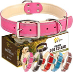 ADITYNA Heavy-Duty Pink Leather Dog Collar for Large Dogs - Lined with Soft Leather - Girl Dog Collar for Walking, Training, and Hiking