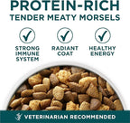 Purina One Plus Puppy Dry Dog Food for Large Dogs High Protein Growth Support, Real Chicken - 31.1 lb Bag
