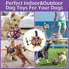 QDAN Dog Ropes Toys, Soccer Ball with Straps, Dogs Water Toy, Durable Dog Balls for Small Medium Breed（6 Inch）
