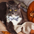 LLHK 4 Pack Halloween Cat Collar with Bow Tie and Bell,Breakaway Kitten Collar for Girl Boy Cats,Adjustable 7-12inch,for Kitty Kitten Adult Cats,Pet Supplies…