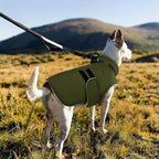 IECOii Big Dog Winter Coat for Giant Breed Dogs Waterproof Dog Jacket with Built in Collar, Reflective Dogs Coat Pet Snow Jacket for Great Dane Saint Bernard, Easy Outdoor Walking, Army Green - 5XL