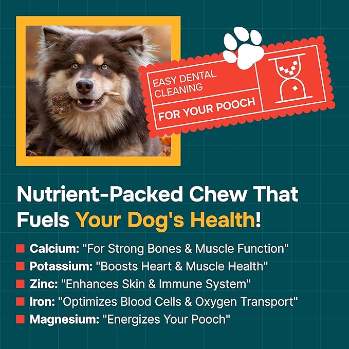 100% Natural - Split Elk Antlers for Dogs ( 3 pack ) - Naturally Shed in USA - Dog Antler Chews Medium Breeds - Natural, Long-Lasting Treats for Aggressive Chewers - No Smell & No Mess - Medium