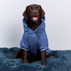 Tuff Pupper Dog Hoodie | Premium Quality 100% Organic Cotton | Ultra Soft Interior for Superior Comfort | Elastic Cuffs & Drawstring for Warmth | Stretch Fit Suitable for All Breeds (Blue, 3XL)