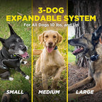 Dogtra 280X 2-Dogs E-Collar with Remote [New Edition] 10 lbs+, 1/2 Mile Range, LED Light, 100 Levels of Control for Stubborn Dogs, Waterproof, Boost for Quick Recall, Vibration, Safety Lock & Tone