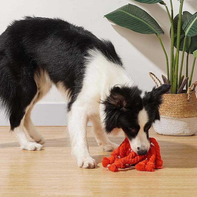 Dog Toys, Dog Plush Toy for Large Breed, Cute Squeaky Dog Toys with Rope Legs, Stuffed Animal Dog Chew Toys for Puppy, Small, Middle, Big Dogs (Red(Octopus))