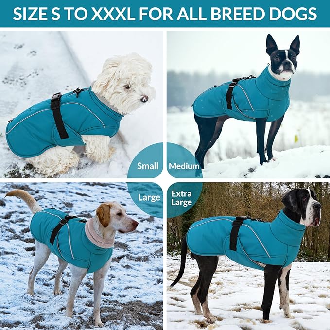 Queenmore Winter Dog Jacket, Waterproof Puffy Snowsuit, Adjustable Reflective Fleece Lining Warm Padding Parka for Cold Weather, Blue Large