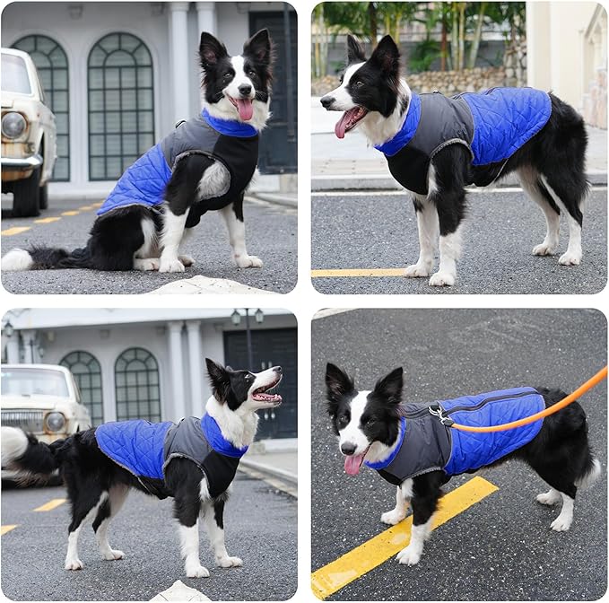 Warm Fleece Dog Coats for Large Dogs,D-Rings Waterproof Puppy Jacket for Cold Winter,Blue XXL