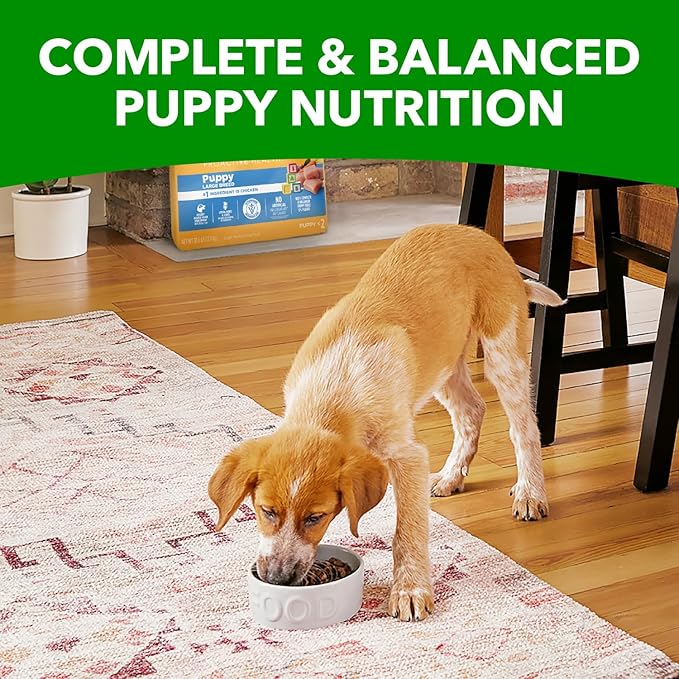 IAMS Proactive Health Large Breed Puppy Food with Real Chicken, 15 lb. Bag