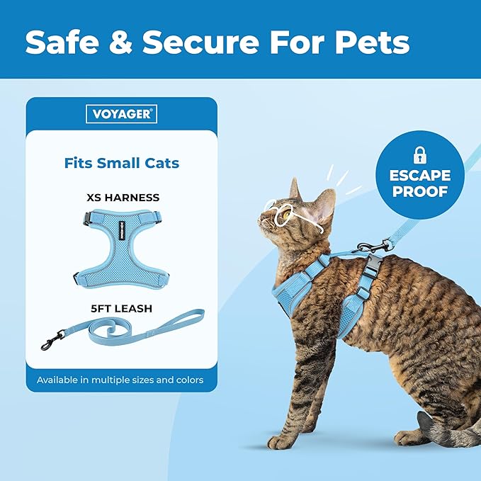 Voyager Escape Proof Cat Harness and Leash Set with Reflective Stitching, Neoprene Handle 5ft - Supports Small, Medium and Large Cats, Kittens for Walking by Best Pet Supplies - Baby Blue, XS