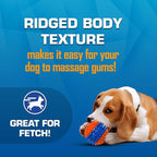 Nerf Dog Toy Gift Set, 3-Piece Set of Outdoor Dog Toys for Tug and Fetch, Includes Spike Squeak Ball, Treat Tug Bone and Exo Squeak Football