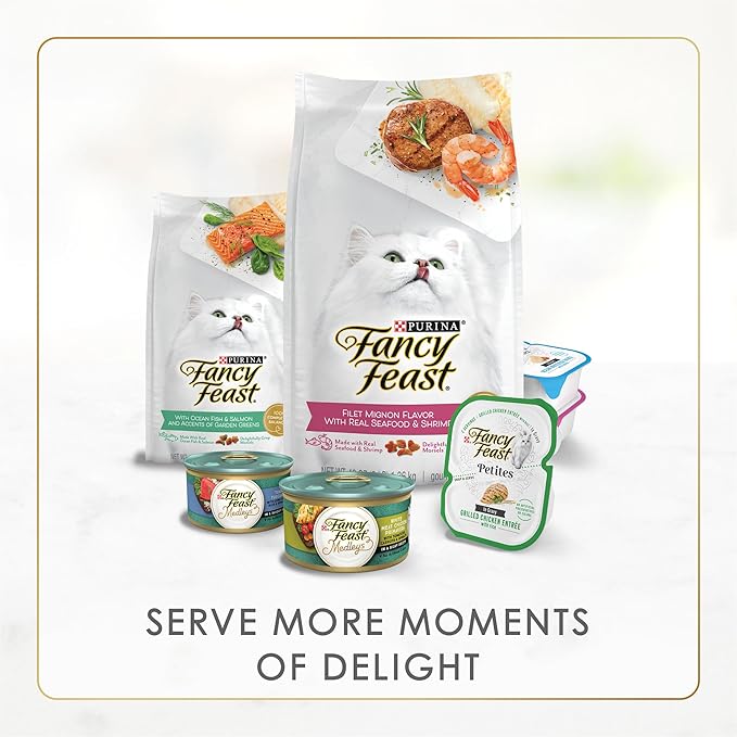 Purina Fancy Feast Senior Wet Cat Food 7 Years Plus Beef Feast Pate - (Pack of 24) 3 oz. Cans