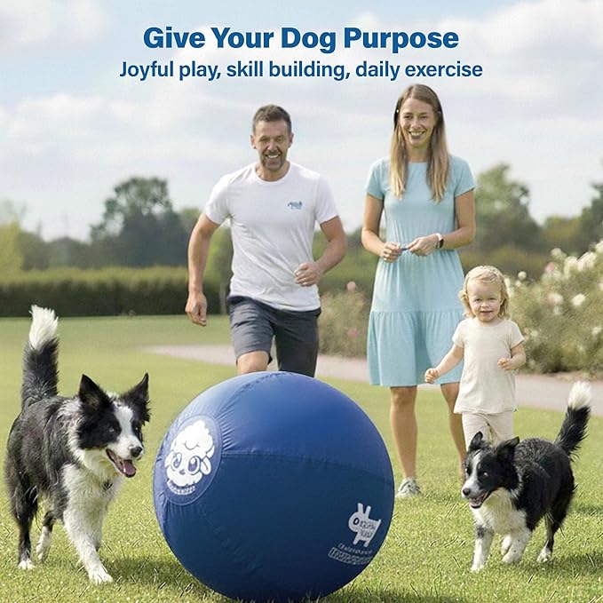 Race&Herd 25" Original XXL Herding Ball for Dogs - Giant Herding Dog Ball Australian Shepherds, Herding Toys, Dog Training Toy for Medium Breeds, Dog Toy for Outdoor Play (for Medium Dogs, Blue)