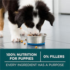 Purina ONE Plus Large Breed Puppy Food Dry Formula - 40 lb. Bag
