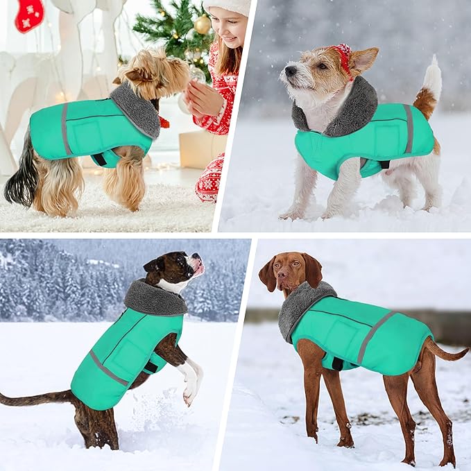 Dogcheer Warm Dog Coat, Waterproof Dog Jacket Christmas Puppy Winter Coat with Buckle, Reflective Adjustable Pet Snow Jacket Turtleneck Fleece Sweater for Small Medium Large Dogs - Pine Green, M
