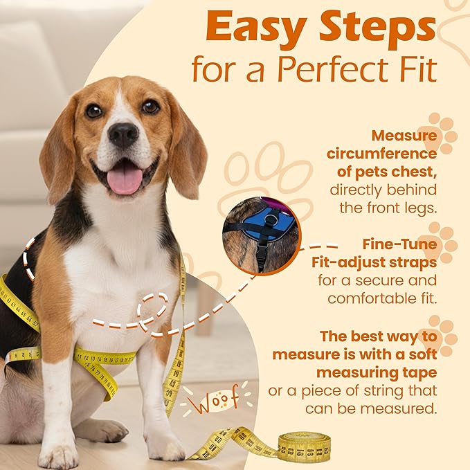 Bark Appeal Blue No-Pull Dog Harness for Extra Large Sized Pets – Adjustable, Reflective Vest with 3 Leash Clips for Added Control, Easy Walks & Training – XXL
