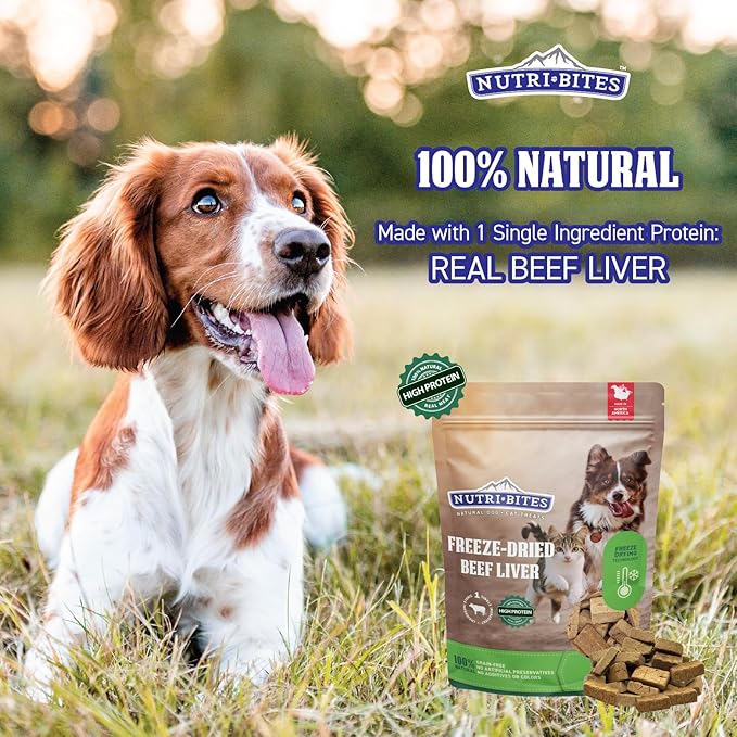 Nutri Bites Freeze Dried Beef Liver Dog & Cat Treats | Healthy Pet Training Treats or Food Topper | All Natural, Single Ingredient, High Protein | Premium Bulk Value Pack, 17.6 oz