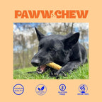PAWW CHEW Yak Cheese Himalayan Dog Chews - All Natural Long Lasting Dog Treats, (Medium - 5 Pack) Odorless, High Protein Yak Chew, Great for Oral Health, Only 3 Ingredient Yak Bone for Power-Chewers