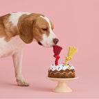 LE SURE Dog Birthday Cake Toy - Cute Dog Birthday Cake Squeaky Toy with Interactive Tug Rope, Interactive Chew Toy for Puppy Birthday Party & Daily Play, XSmall, Milk Chocolate