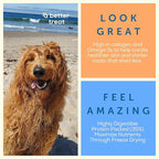 A Better Dog Food | Chicken Dry Dog Food | Raw You Can See | High Protein Kibble + Freeze Dried Raw Dog Food